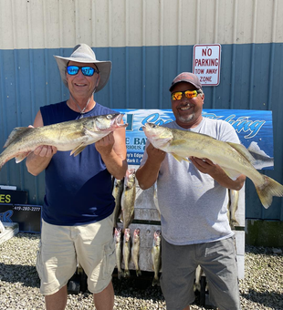 Another day, another Walleye catch! 
